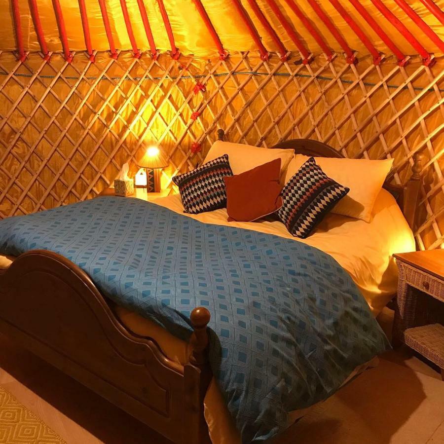Mcclure Yurt At Carrigeen Glamping Kilkenny Ngoại thất bức ảnh