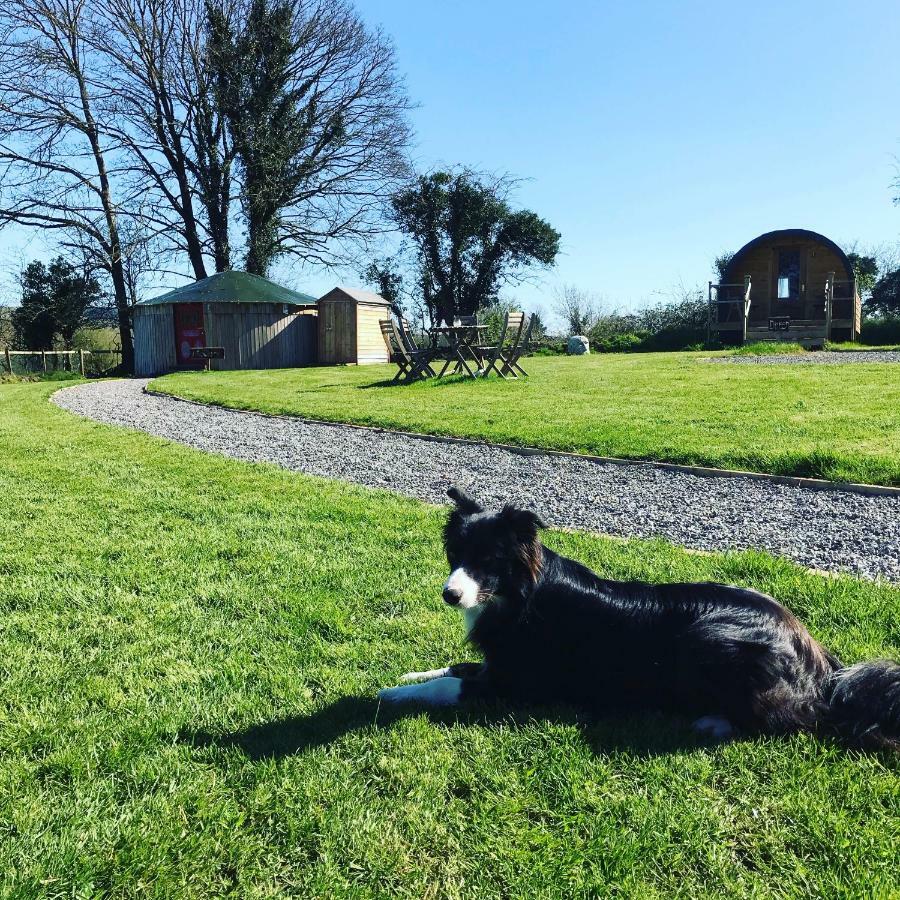 Mcclure Yurt At Carrigeen Glamping Kilkenny Ngoại thất bức ảnh